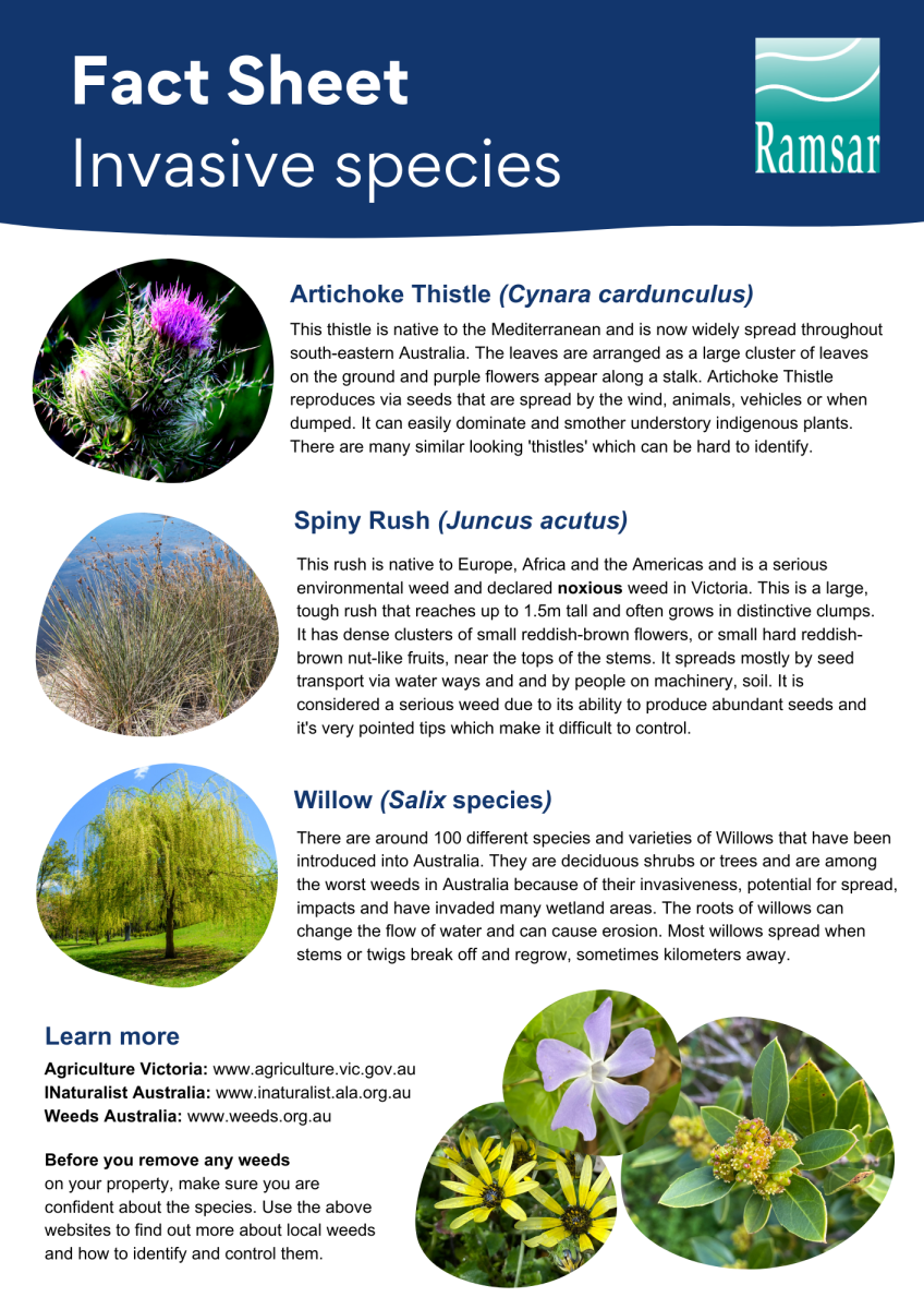 ramsar-fact-sheets